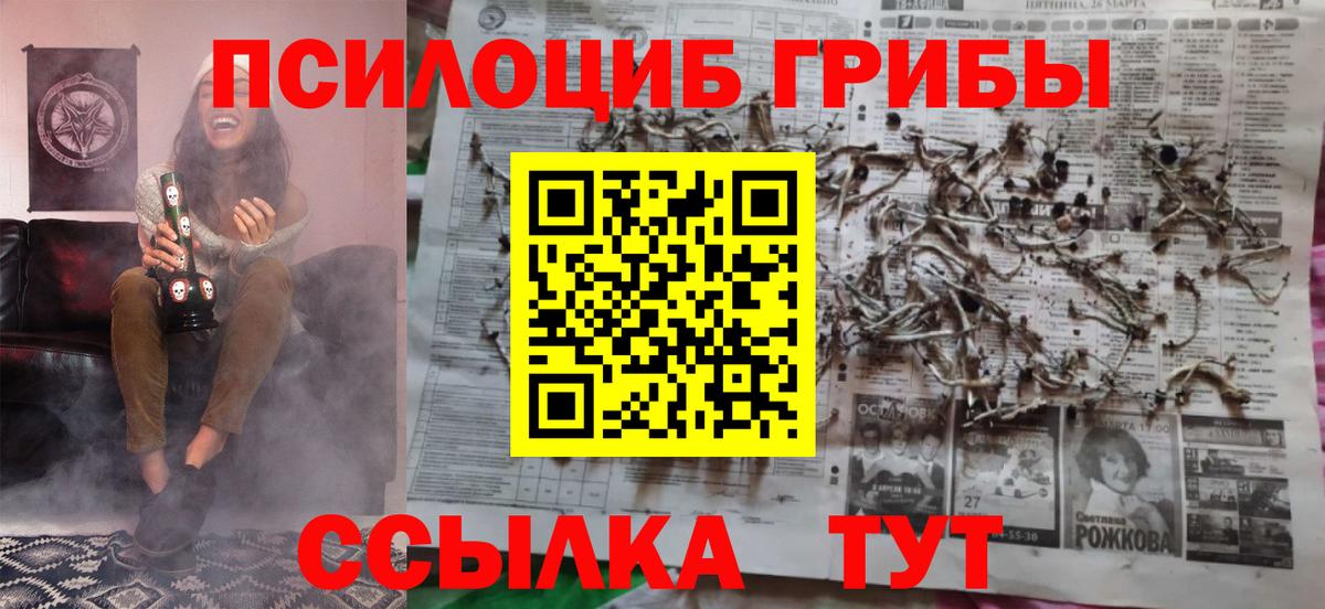 Ульяновск  Псилоцибиновые грибы ЛСД  Вход с VPN  Псилоцибиновые грибы Cubensis 